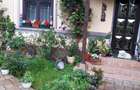 Casă cu 6 camere cu Teren 2000 Mp în Tismana - 3