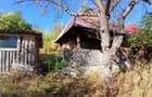 2 Case + teren 500 mp, C.F. in Muntele Rece, 22000 euro - negociabil