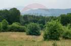 Teren ideal pentru glamping in Vladeni, aproape de Brasov - 8