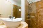 Herastrau parc 3 camere mobilat complet nou - 10
