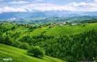 7.000 mp, pozitie spectaculoasa, fara vecini, Fundatica, Brasov - 1