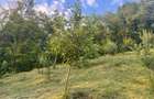 vand casa,structura lemn,87mp utili,3 dormitoare,living+buc,2bai,3000m - 3
