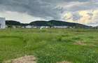 Vand teren intravilan Sanpetru 620 m2 - utilita?i, zona lini?tita - 4