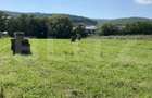 Teren intravilan 2950 mp, front 33 ml, Popesti - 2