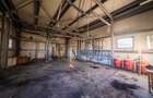 SPATIU MULTIFUNCTIONAL | DE INCHIRIAT | BEIUS - 16