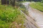 Teren superb 1081 mp Malaia, Valcea - 6