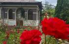 Casa 2 cam si dependinte in Jud Ialomita Grabovi - 9