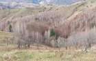 Teren Intravilan 4.608 mp in Sat Magura Priveli?te Panoramica Bucegi ?i Piatra Craiului - 3