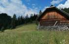Vand teren la munte Bucovina