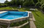 Teren intravilan 1100mp, Lenin Sud, piscina beton, toate utilitatile, langa padure, fara vecini, pensiune, vila, foisor agrement. - 6