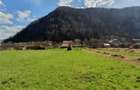RECO Teren intravilan zona Bulz - 4