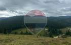 Teren 2,42 ha in Poiana Horea | Cadru montan | Potential turistic