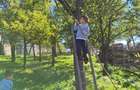 gradina teren intravilan - 1