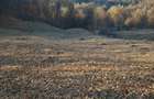 vanzare teren Runcu (DB) - 4