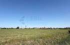 Teren intravilan 2.6 hectare la E671 / DN79 | Front 484 ml - 3