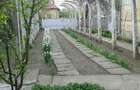 Vand casa com.Vadastra jud. Olt - 5
