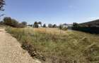 Teren intravilan de vânzare | Sucevița | Front 53 m - 4