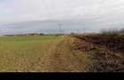 Teren agricol extravilan BorsSantion | CF + cadastru | cota mostenita
