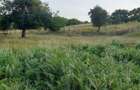 Vand teren intravilan - 4