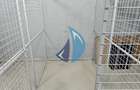 Apartament 2 camere, Maurer, mobilat/utilat, parcare subterana - 5
