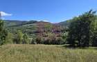 Teren intravilan 1825 mp de vanzare in Valea Doftanei