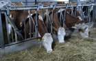 Vand ferma de animale - 2