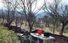 Teren Intravilan 43Ari zona Ortelec-Zalau intre case 4800eur/ar