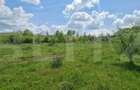 Teren extravilan, de vanzare, 1.500 mp, zona Valea Ghinzii-strada Palt - 7