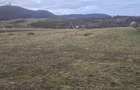 Teren intravilan de vAnzare Com. Sieu-Magherus, jud. BN