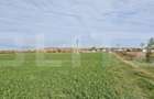 Teren in Razvad intravilan 1400mp cu acces la curent electric - 3