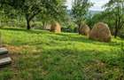 Vand teren in Valea Doftanei - 7