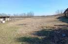 Vand loc de casa la 30 de km de oradea in ungaria ! - 2