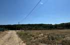 Teren intravilan de vanzare 1.111mp Alparea - 6