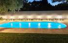 Vila de lux, stil contemporan -  IANCU NICOLAE