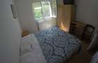 Apartament 3 camere, etaj intermediar, mobilat, zona strada Mehedinti - Manastu! - 6