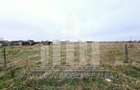 Teren intravilan | De vanzare | 5500 mp | 20 ml deschidere | Sebes