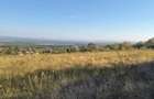 Teren intravilan 13.500 mp | Valea Calugareasca Zona Varfuri | Utilita?i disponibile