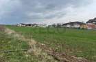 RECO IMOBILIARE,TEREN Cihei - 4