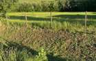 Vand Teren in Stejeris - 0753019211