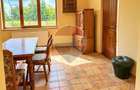 Casă cu 6 camere și teren de 4.800 mp în Ciocănești, Călărași