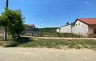 Teren intravilan Matnicu Mare - 4