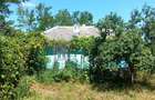 Casa de vanzare. +teren 2.300 m.p. satul Totoesti comuna Erbiceni Judetul Iasi casa locuibila. Mai multe detali sunati la numaru 0722521142 - 5