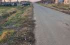 Vand teren intravilan 1.100 mp in Cenad judetul Timis 8 / mpTimis - 3