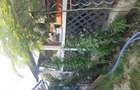 Casa de vanzare Sannicolau Mare - 7