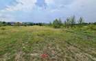 Teren intravilan in Banesti--925 m--40e - 5