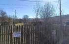 Teren de 3687 mp, în Podu Nărujei - 3
