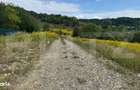 Teren extravilan 1400 mp Strada Podgoriei - 1