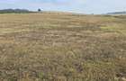Teren extravilan 4,7 ha