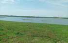 Vand teren la numai 30 m de lacul Mostistea Valea Argovei - 6