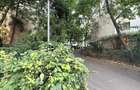 2 Camere Pia?a Victoriei - Str. Veronica Micle | Bloc Reabilitat